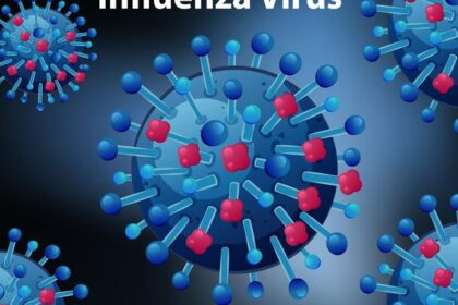 Ministro de Salud tranquiliza: RD no está en riesgo de epidemia de influenza