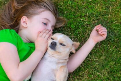 Perros aprenden palabras escuchando conversaciones