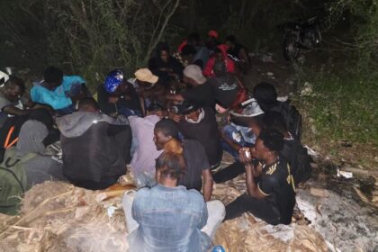 Ejército detiene a casi 20 mil haitianos en condición migratoria irregular durante enero