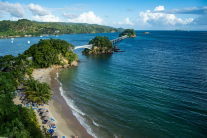 Samaná brilla al ritmo de la bahía: turismo, arte y naturaleza se funden en una noche histórica