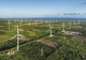 EGE Haina marca un hito en América Latina al integrar Los Cocos 1 y 2 al nuevo mercado global de carbono del Acuerdo de París