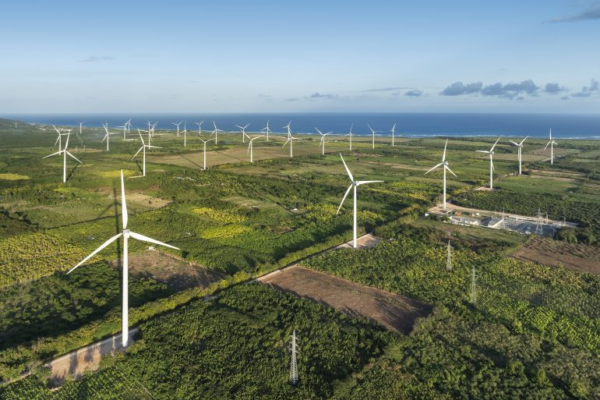 EGE Haina marca un hito en América Latina al integrar Los Cocos 1 y 2 al nuevo mercado global de carbono del Acuerdo de París