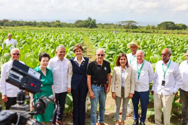 Tabaco dominicano: motor económico y orgullo nacional