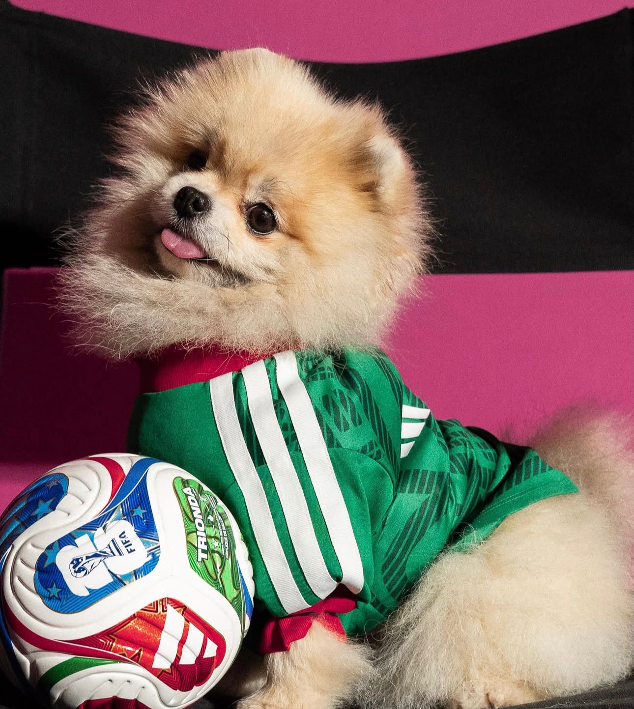 a19ecd9b-72a3-4dfc-98b0-1e9f18af88bd