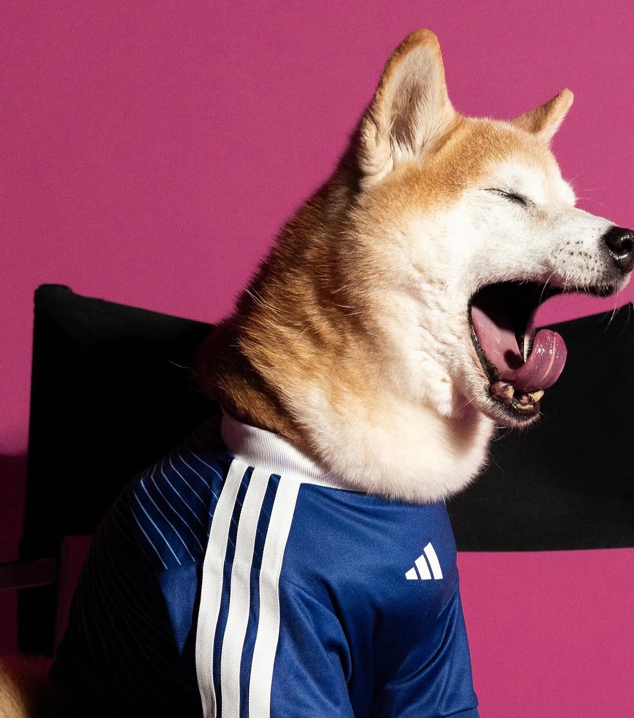 a6a8f88d-aa02-41af-bb9c-f3bd3e4bf36d