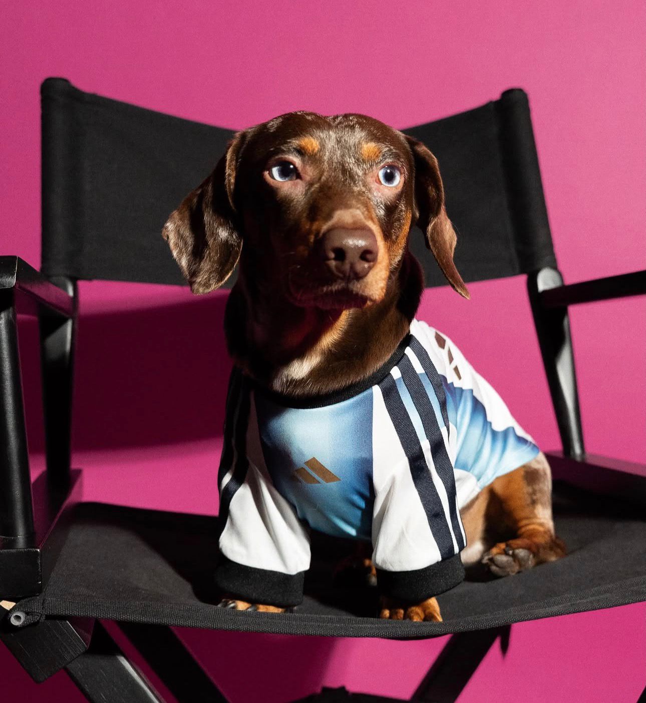 dd0b72b6-17ee-431d-bcff-31f54e408337