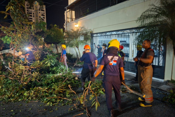 Retiran 21 árboles caídos tras fuertes vientos en el Distrito Nacional