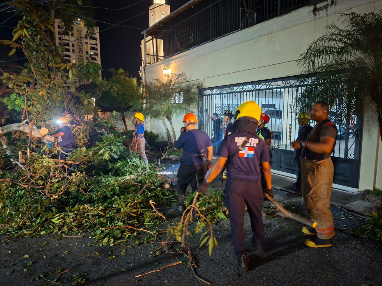 Retiran 21 árboles caídos tras fuertes vientos en el Distrito Nacional