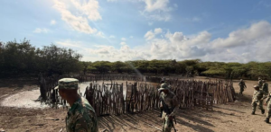 Tolerancia cero en áreas protegidas: autoridades refuerzan protección de las Dunas de Baní