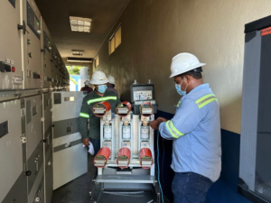 Caída de árbol provoca interrupción en circuito clave de EDEESTE