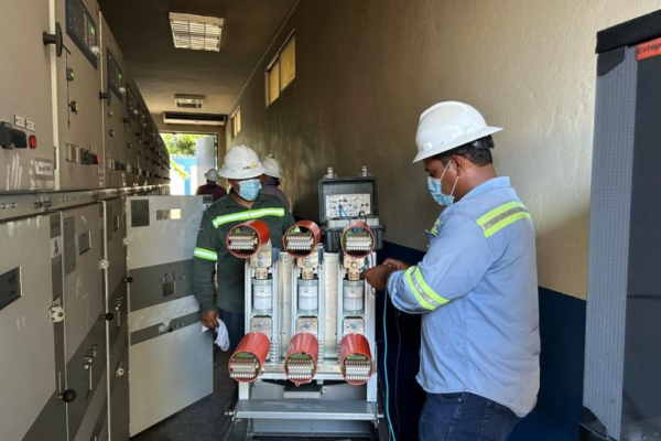 Caída de árbol provoca interrupción en circuito clave de EDEESTE