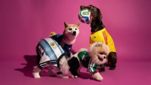 Adidas lanza camisetas para mascotas inspiradas en selecciones rumbo al Mundial 2026
