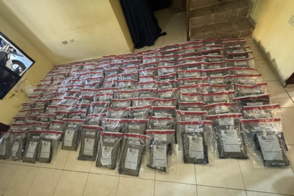 Ejército y DNCD incautan 151 paquetes de presunta marihuana sintética en Azua