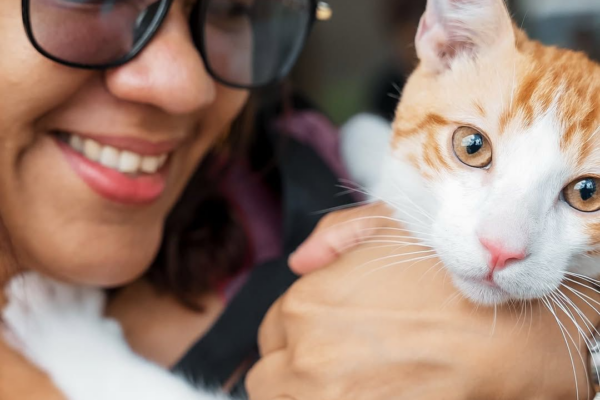 Alcaldía del DN realiza exitosa jornada de esterilización y vacunación para mascotas
