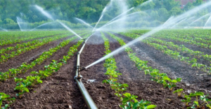 Gobierno impulsa modernización del campo con tecnificación del riego