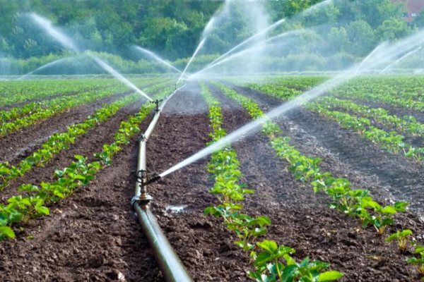 Gobierno impulsa modernización del campo con tecnificación del riego