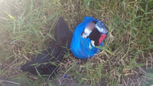 Hallan bebé con vida en carretera Jarabacoa-Constanza; autoridades investigan