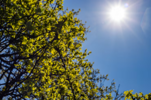 Sistema anticiclónico mantendrá ambiente soleado y estable este viernes