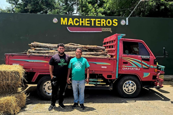Ejército incauta 125 postes de cambrón transportados de manera irregular en Valverde