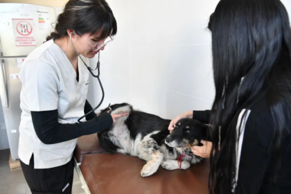 Bolivia inaugura su primera clínica pública para mascotas en Cochabamba