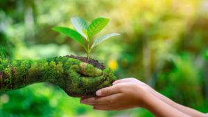 Día Mundial del Medio Ambiente: un llamado global para proteger el único hogar que compartimos