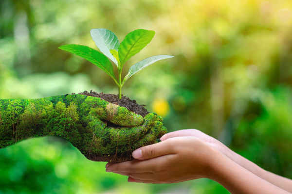 Día Mundial del Medio Ambiente: un llamado global para proteger el único hogar que compartimos