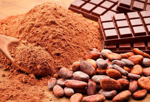 Día Mundial del Cacao y del Chocolate: celebrando un producto con historia y sabor