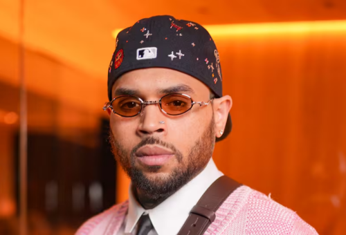 Chris Brown deberá pagar US$13 millones tras ataque de su perro a empleada