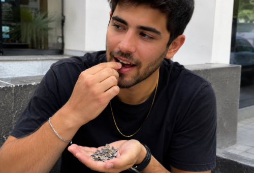 ¡Comer semillas todos los días mejora la calidad del semen!
