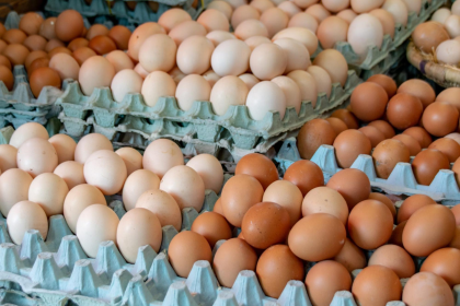 RD reanuda exportación de huevos a Cuba con envío de casi cuatro millones de unidades.