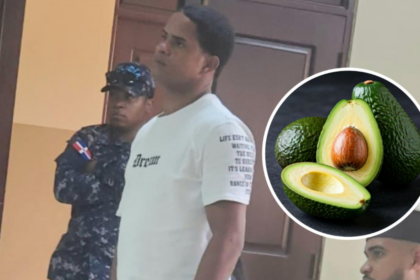Condenan a seis meses de prisión a hombre por robar 32 aguacates en Ocoa