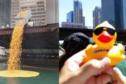 90 mil patitos de goma invaden el río Chicago por una causa benéfica