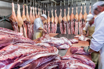 Prohíben ingreso de carnes y productos de piel desde Haití por prevención ante ántrax