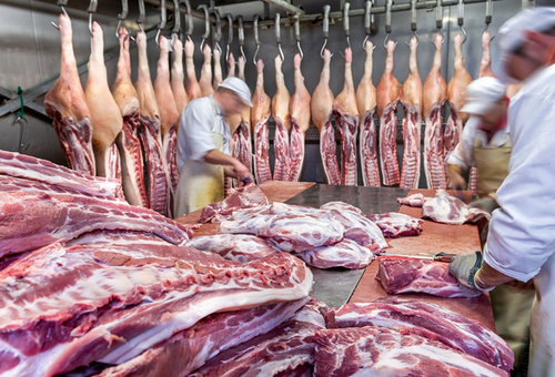 Prohíben ingreso de carnes y productos de piel desde Haití por prevención ante ántrax