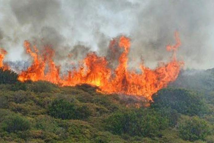 San José de las Matas lidera municipios con más incendios en áreas protegidas