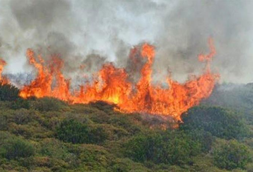 San José de las Matas lidera municipios con más incendios en áreas protegidas