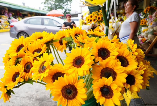 21 de septiembre: el día en que las flores amarillas se convierten en símbolo de amor y amistad
