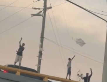 Niños vuelan chichiguas desde un elevado y generan preocupación entre ciudadanos