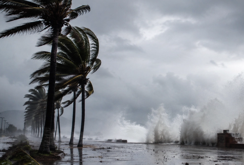 Alerta global: El Niño se intensificará y disparará riesgos de sequías, inundaciones y calor extremo