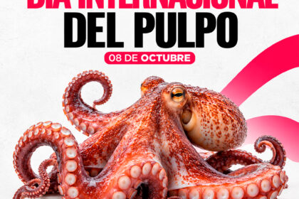 Día Mundial del Pulpo: conoce por qué se celebra este 8 de octubre