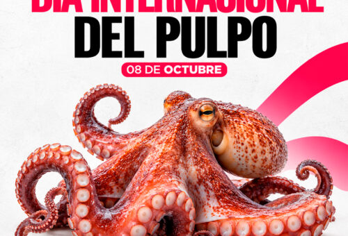 Día Mundial del Pulpo: conoce por qué se celebra este 8 de octubre