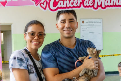 Alcaldía del Distrito Nacional esteriliza 107 perros y gatos en jornada de bienestar animal