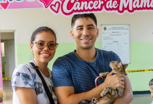 Alcaldía del Distrito Nacional esteriliza 107 perros y gatos en jornada de bienestar animal