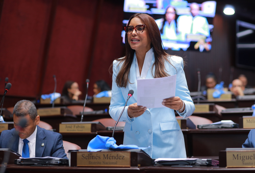 Selinée Méndez exige al MINERD informe sobre planteles pendientes y resultados de su plataforma digital